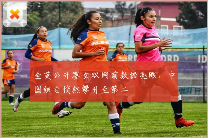 全英公开赛女双网前数据亮眼,中国组合悄然攀升至第二 - 彩客网推荐
